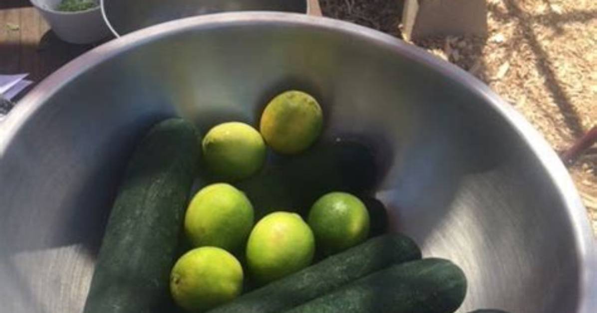 Can Cukes Be Cooked?