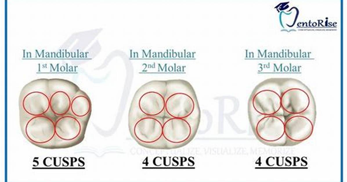 Can Cusps Be Maximums?
