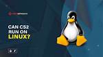 Can Db2 Run on Linux?