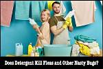 Can Detergent Kill Fleas