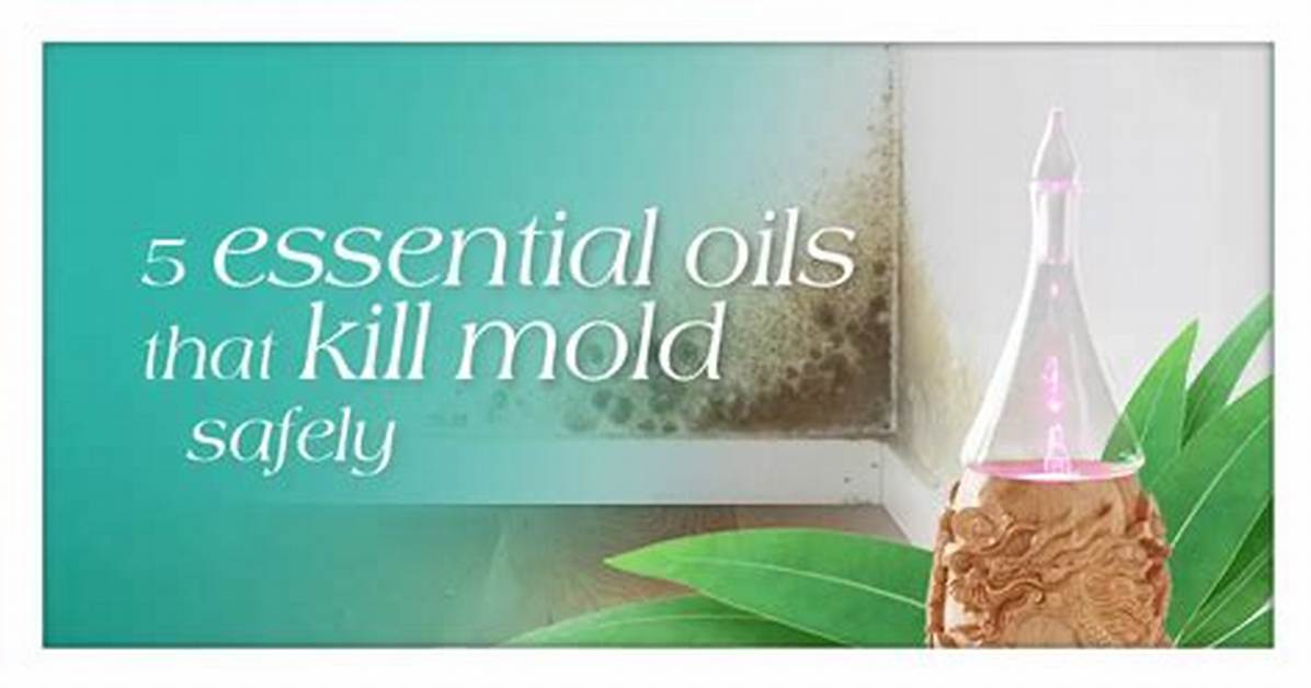 Can Diffusing Essential Oils Kill Mold