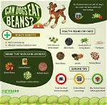 Can Dogs Eat Stringless Beans?
