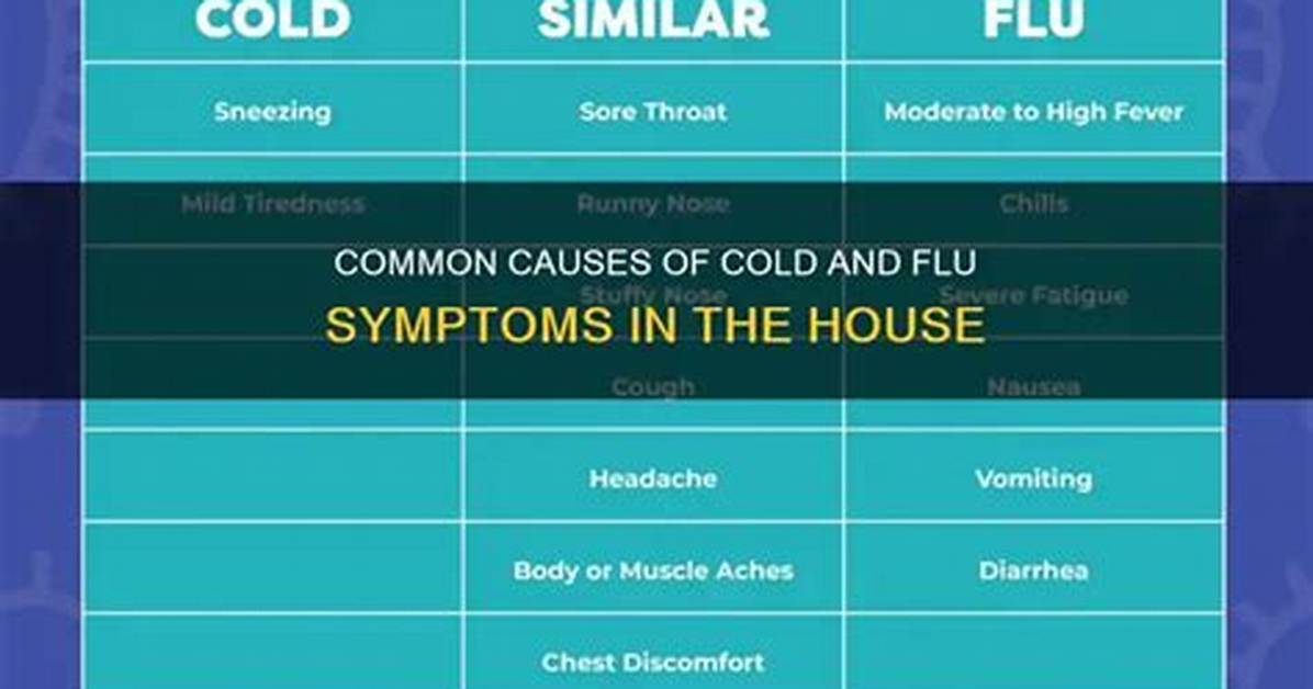 Can Dusting Cause a Cold?