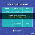 Can Dusting Cause a Cold?