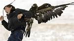 Can Eagles Kill Humans?