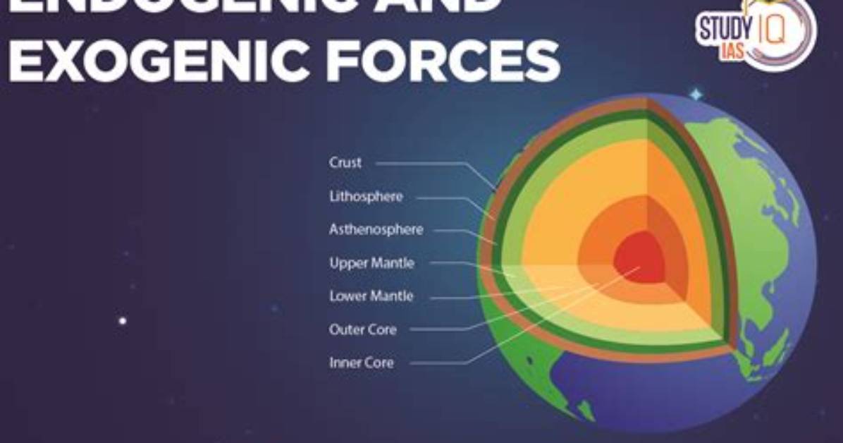 Can Endogenous Effect Exogenous?
