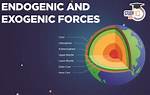 Can Endogenous Effect Exogenous?
