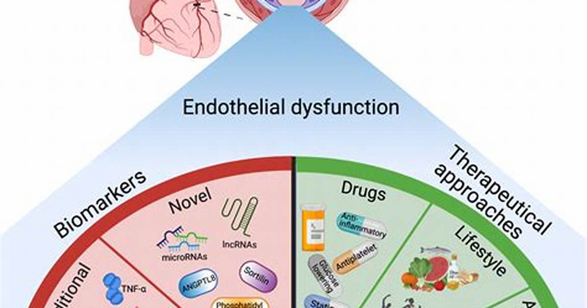 Can Endothelial Dysfunction Cause Heart Attack?