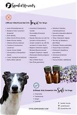 Can Essential Oil Diffusers Harm Dogs?
