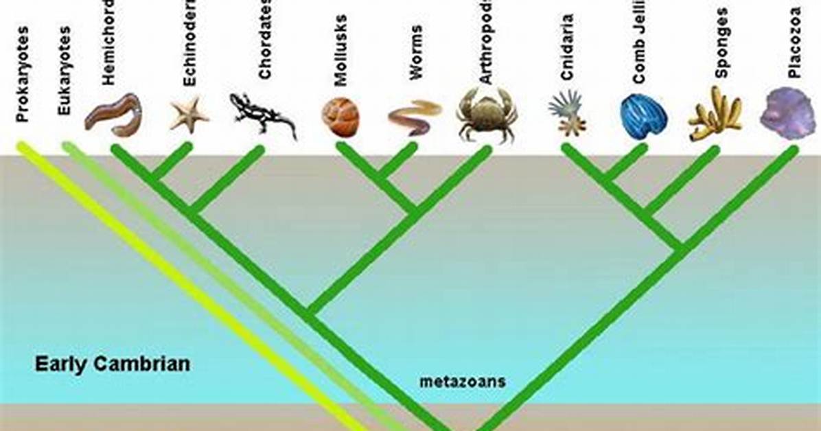 Can Evolution Explain the Cambrian Explosion?