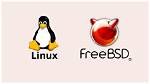 Can Freebsd Run Linux Programs?