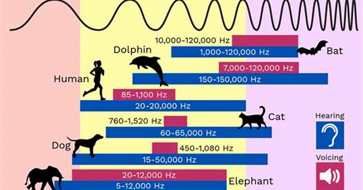Can Frequency Kill You?