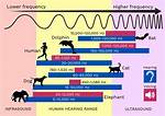 Can Frequency Kill You?