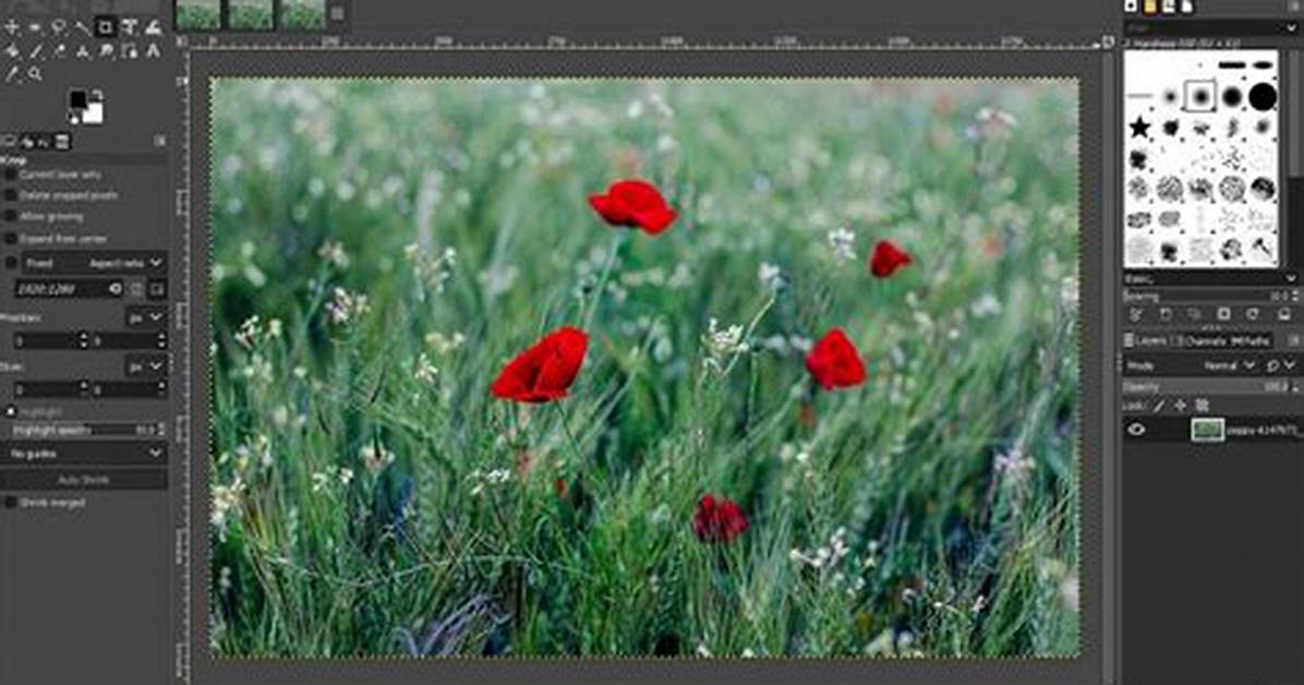 Can Gimp Open Dds?