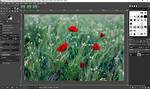Can Gimp Open Dds?