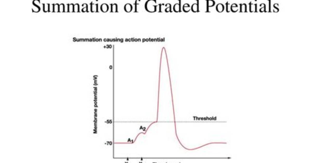 Can Graded Potentials Summate?