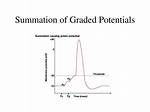Can Graded Potentials Summate?