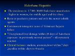 Can Halothane Cause Hepatitis?