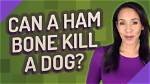 Can Ham Kill Dogs?
