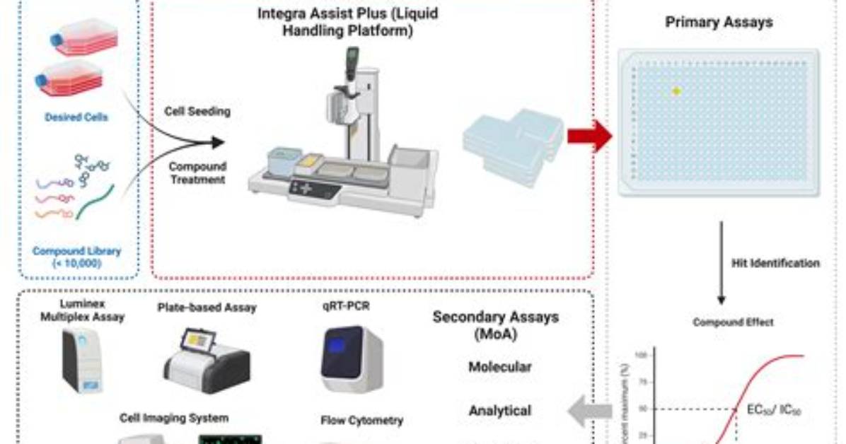 Can High Throughput Screening?