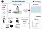 Can High Throughput Screening?
