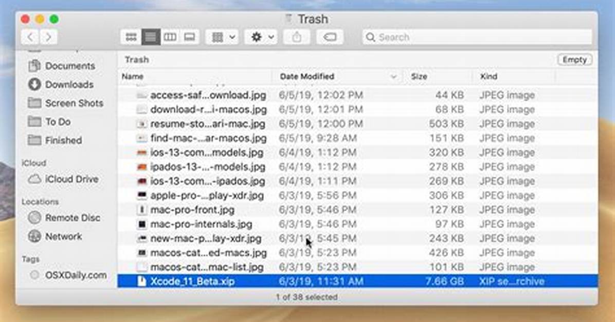 Can I Delete. Trashes Folder?