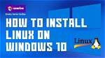 Can I Remove Windows and Install Linux?