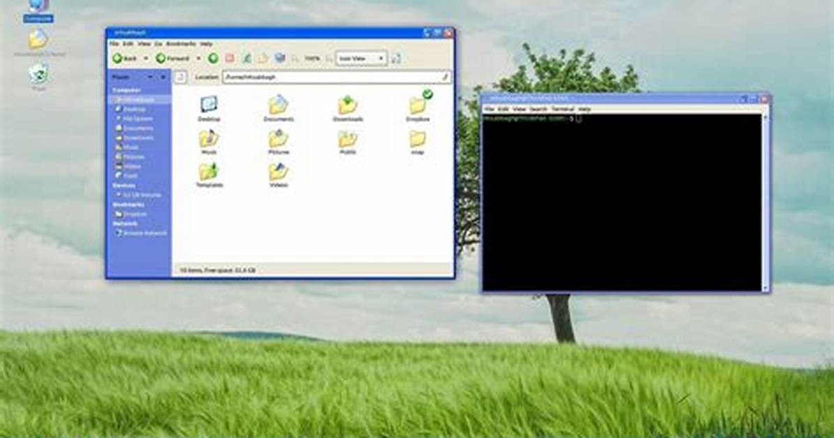 Can I Replace Windows Xp with Linux?