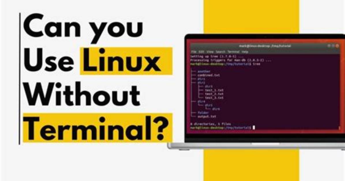 Can I Use Linux Without Installing?