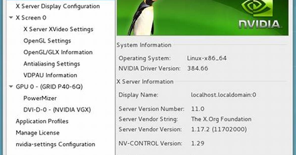 Can I Use Nvidia Gpu from Virtual Machine?