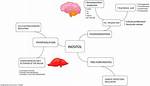 Can Inositol Cause Mania?