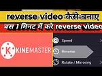 Can Kinemaster Reverse Video?