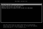 Can Linux Boot Without Grub?