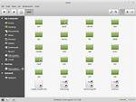 Can Linux Mint Read Fat32?