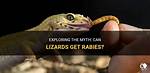 Can Lizards Get Drunk?