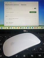 Can Magic Mouse Work with Windows?