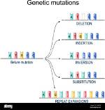 Can Mutation Be Challenged?