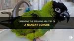Can Nanday Conures Talk?