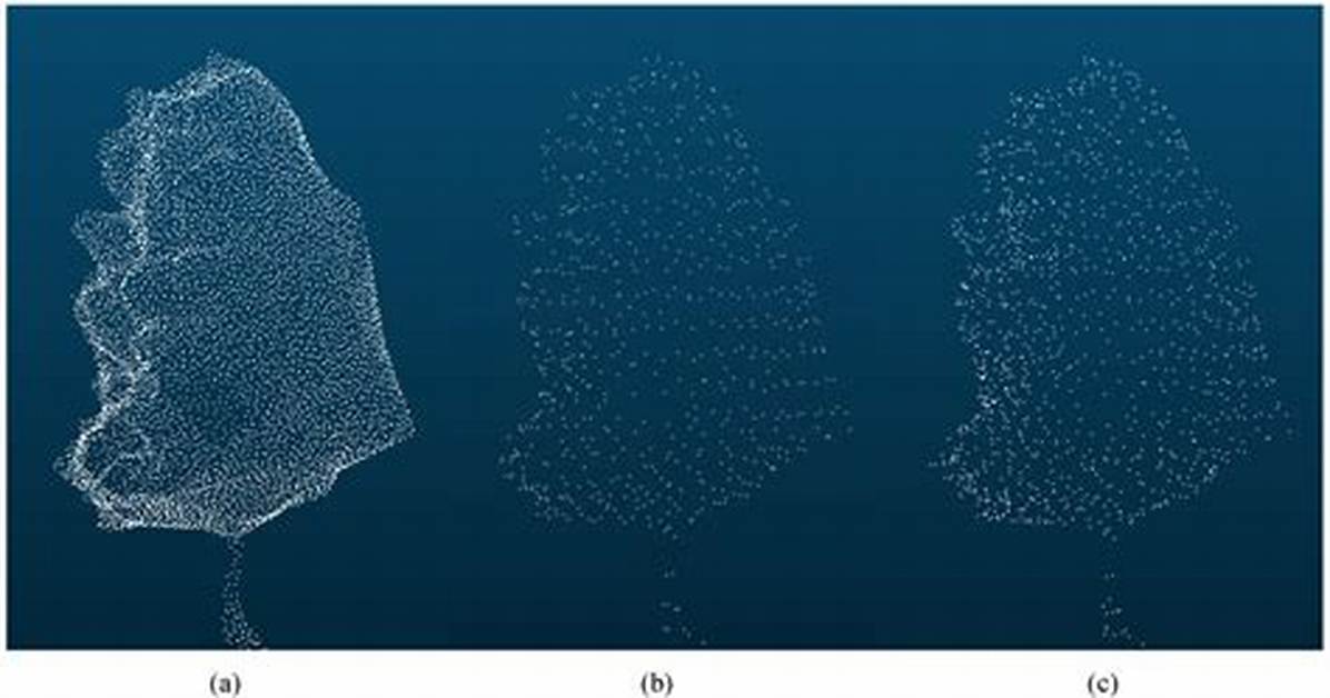Can Not Downsample a Point Cloud in Open3D