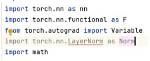 Can Not Import Torch