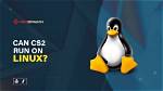 Can Overwatch Run Linux?