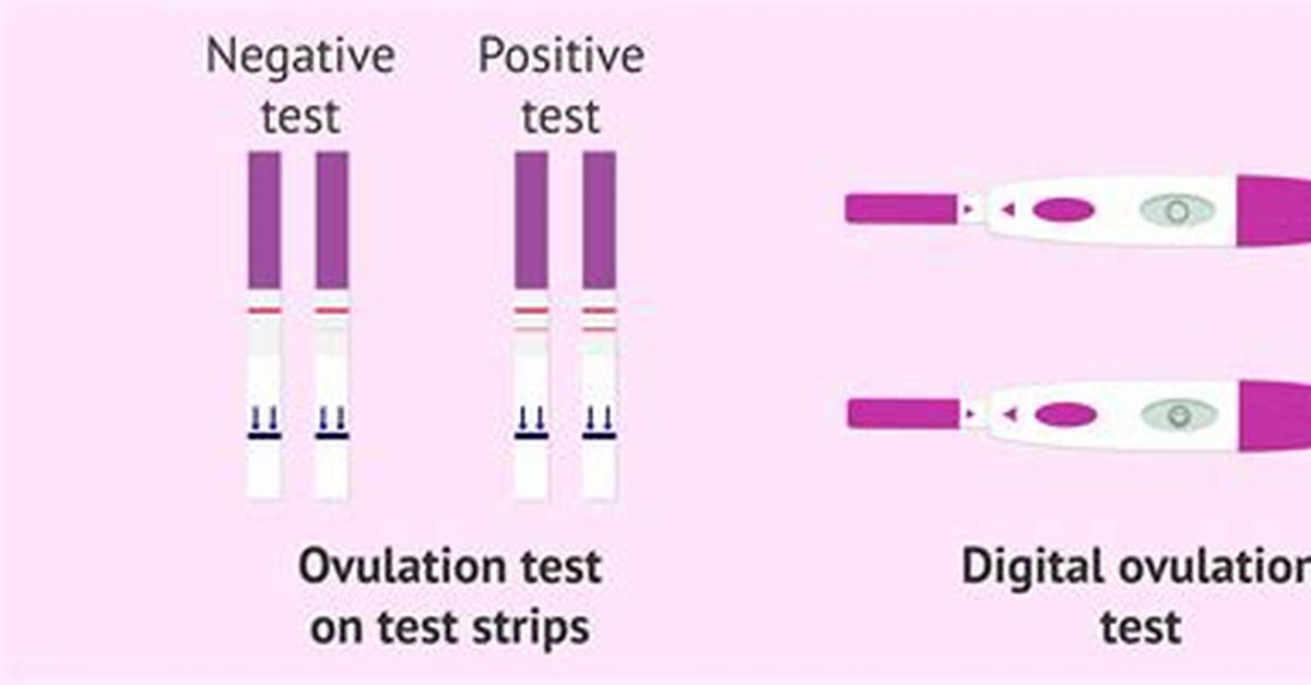 Can Ovulation Tests Be Wrong?