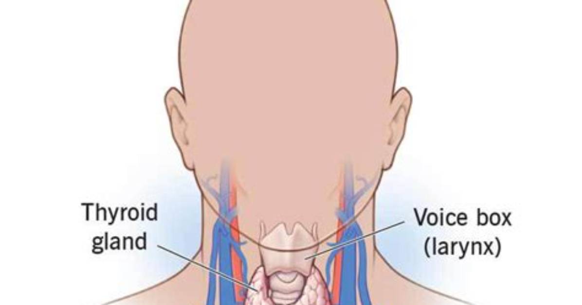 Can Parathyroidectomy Cause Thyroid Problems?