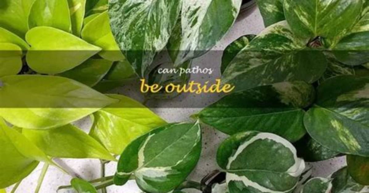 Can Pathos Be Outside?