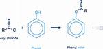 Can Phenols Undergo Esterification?