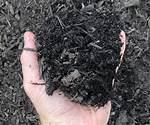 Can Pine Straw Be Composted