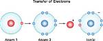 Can Protons Be Transferred?