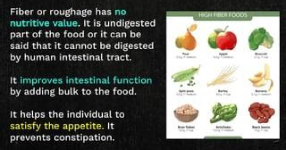 Can Roughage Be Digested?