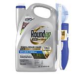Can Roundup Kill Nutgrass?