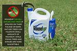 Can Roundup Kill Trees?